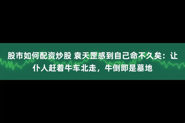 股市如何配资炒股 袁天罡感到自己命不久矣：让仆人赶着牛车北走，牛倒即是墓地