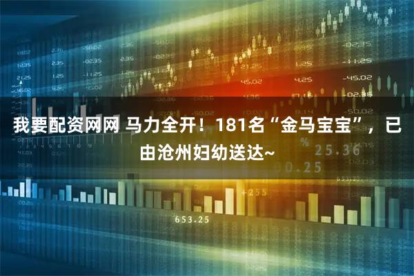 我要配资网网 马力全开！181名“金马宝宝”，已由沧州妇幼送达~