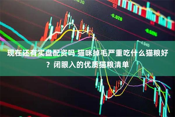 现在还有实盘配资吗 猫咪掉毛严重吃什么猫粮好？闭眼入的优质猫粮清单
