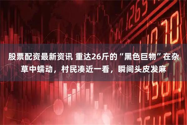 股票配资最新资讯 重达26斤的“黑色巨物”在杂草中蠕动，村民凑近一看，瞬间头皮发麻